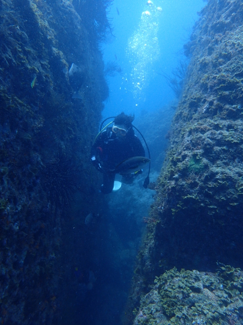 e0115199_18294282.jpg