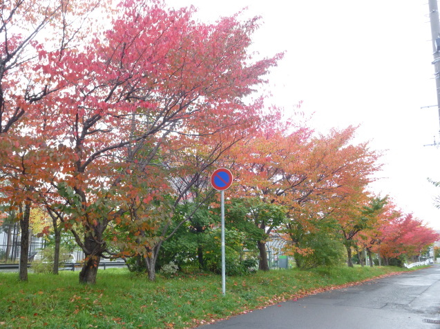b0198109_22050455.jpg