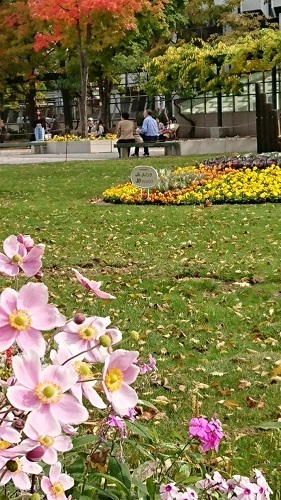 c0200413_09303599.jpg