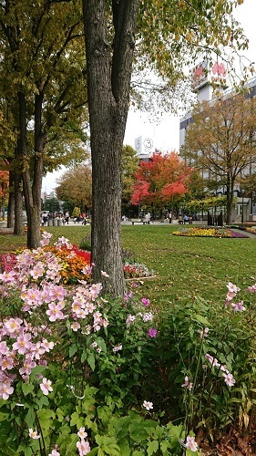 c0200413_09304236.jpg