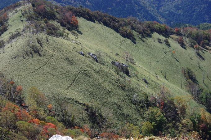 d0341514_22350067.jpg
