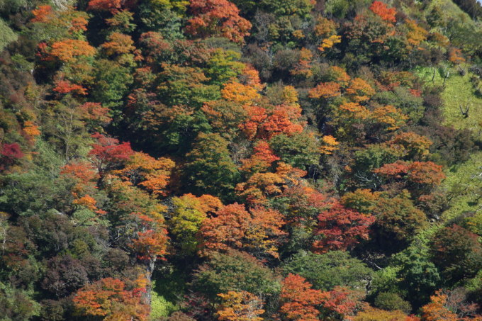 d0341514_22380200.jpg