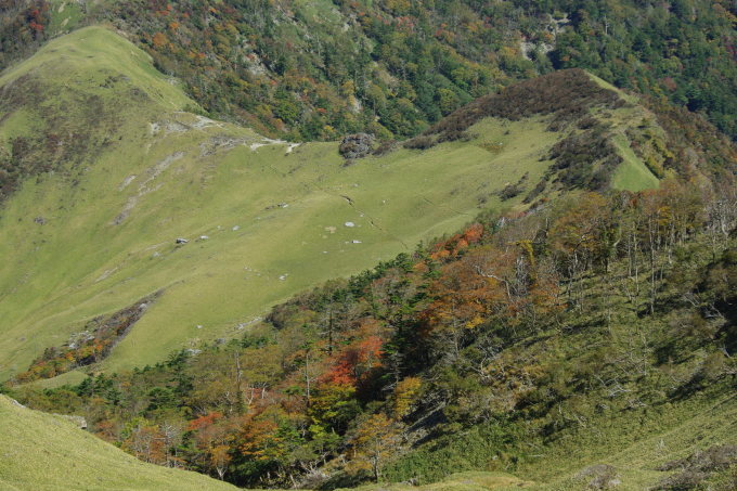 d0341514_22423415.jpg