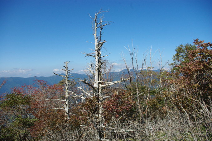 d0341514_22490662.jpg