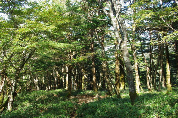d0341514_22503822.jpg