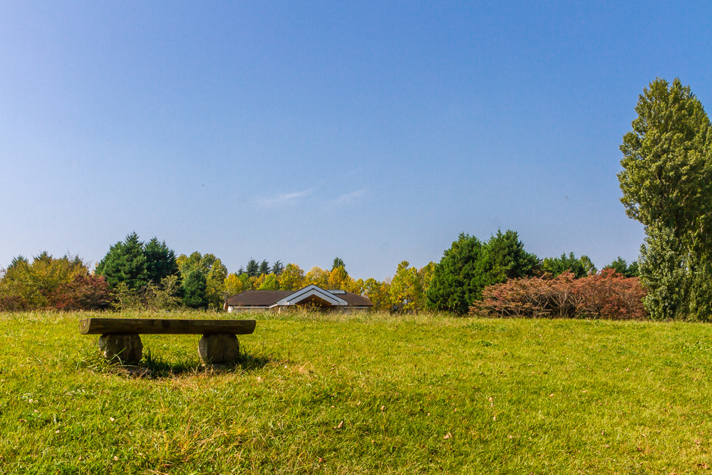 b0010915_17062650.jpg
