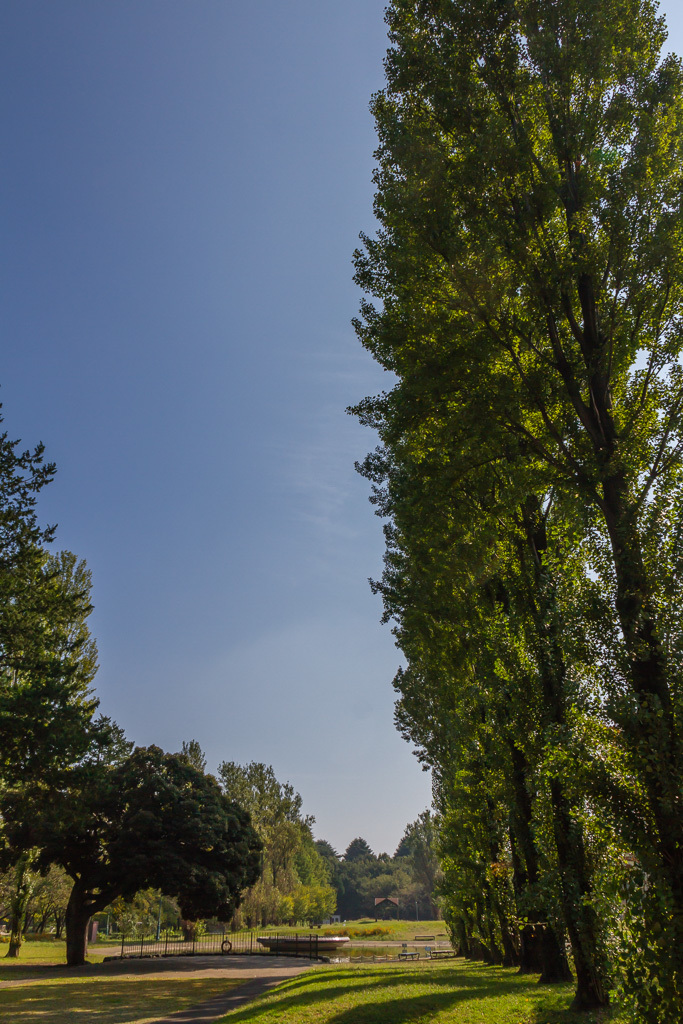 b0010915_17065738.jpg