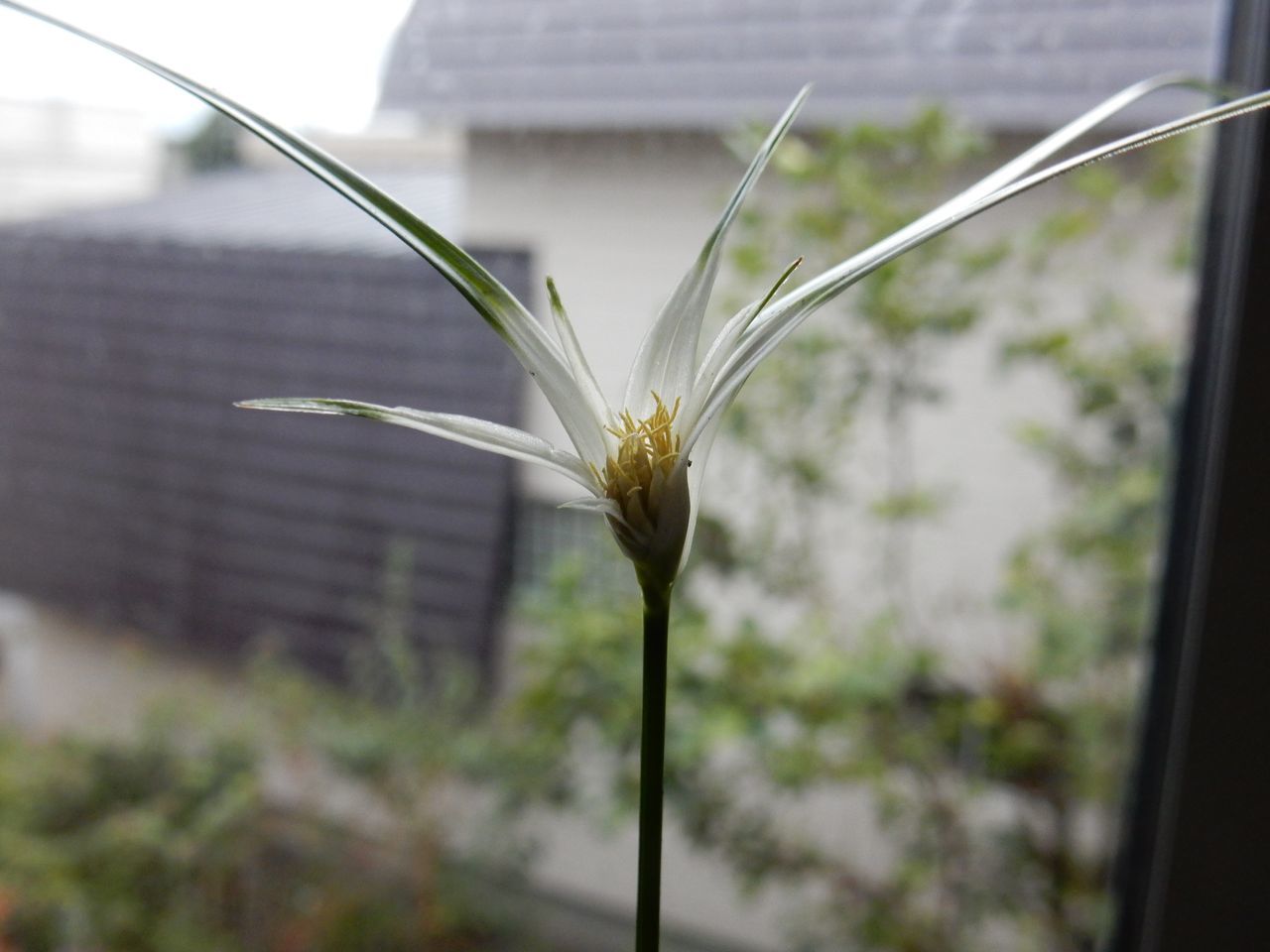 暗く寒い雨の一日_c0025115_21182931.jpg