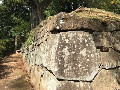 沼田城址公園_e0373815_11191044.jpg