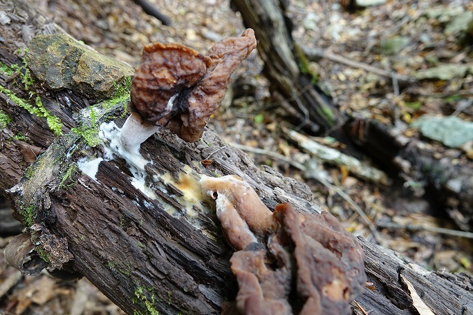 f0360815_15072322.jpg