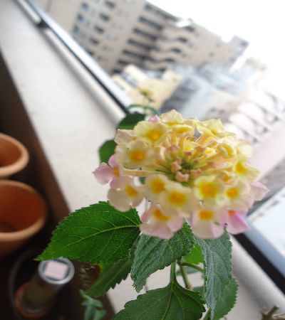 b0248920_07581636.jpg