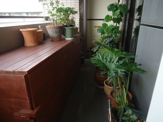 b0248920_07595026.jpg