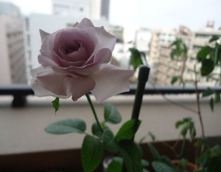 b0248920_08004385.jpg