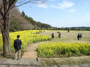 b0383324_22552133.jpg