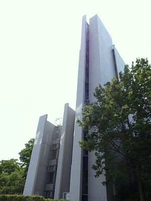 b0383324_22552999.jpg