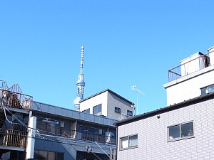 b0383324_22560255.jpg