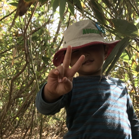 ２歳の三歩も登ったよ！_f0101226_07104178.jpg