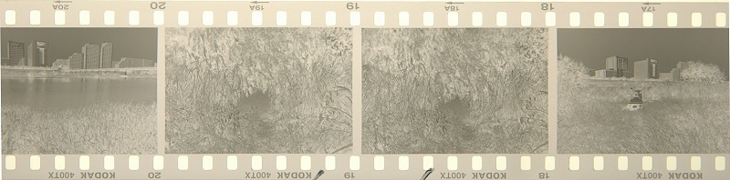 c0381632_19345749.jpg