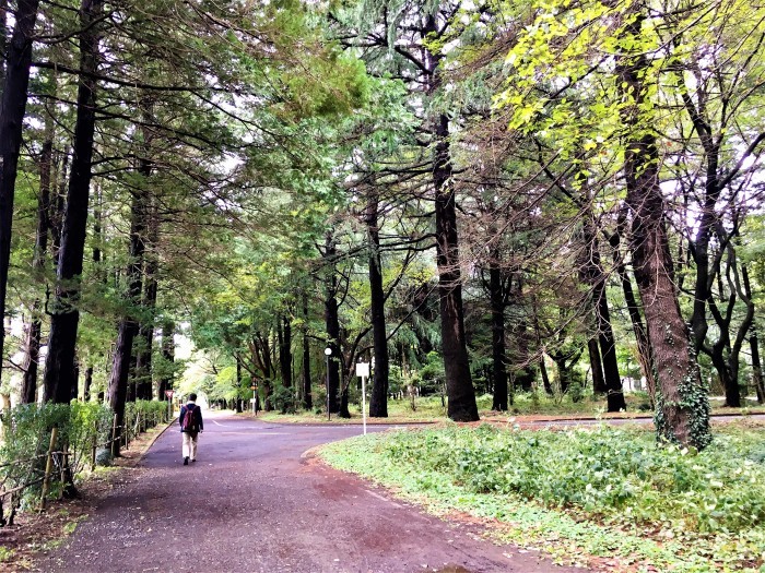 f0238932_11233400.jpg