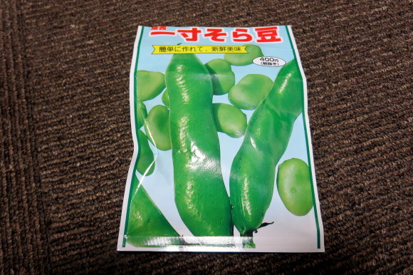 そら豆の種まき きょうはなに撮ろう