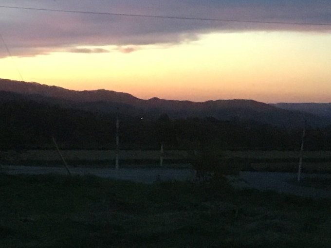 a0329935_07432738.jpeg
