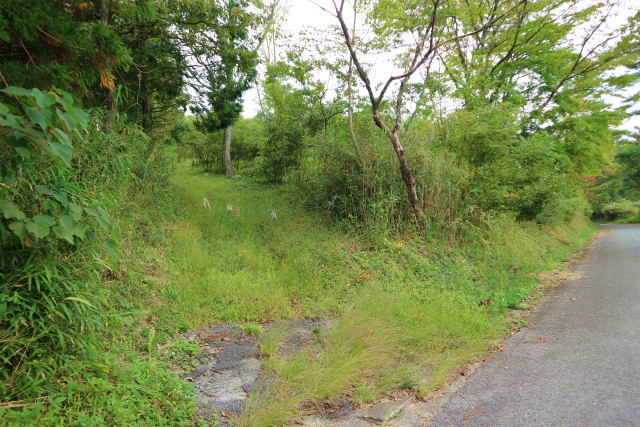 e0272335_20151045.jpg
