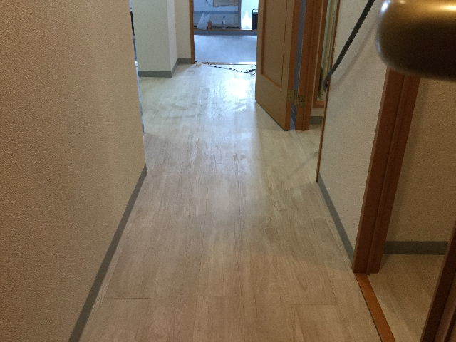 11.5日目 第一ミッション 済 と レレレのレ?_f0031037_18203690.jpg