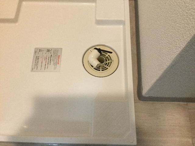 11.5日目 第一ミッション 済 と レレレのレ?_f0031037_18204316.jpg