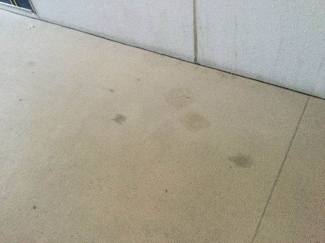 11.5日目 第一ミッション 済 と レレレのレ?_f0031037_18221645.jpg