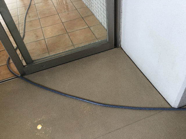 11.5日目 第一ミッション 済 と レレレのレ?_f0031037_18224456.jpg