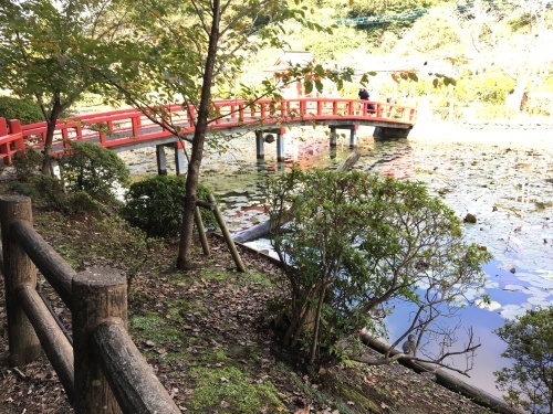 秋の茂原公園_b0330040_13175377.jpeg