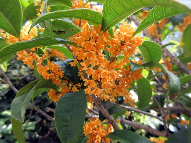 b0009849_18452925.jpg