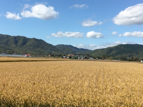 鉄道の旅デビュー、新十津川まで行く_e0326953_17115089.jpg
