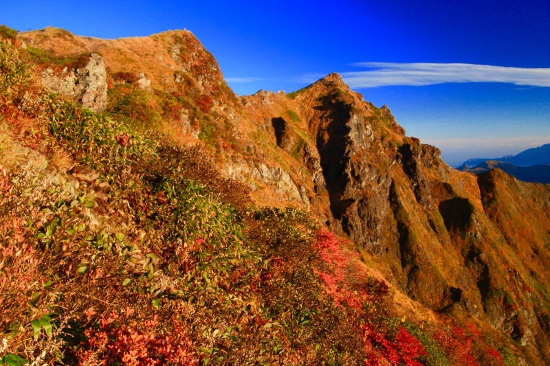 a0248459_15051492.jpg