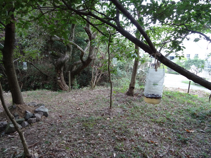 c0108460_18032821.jpg