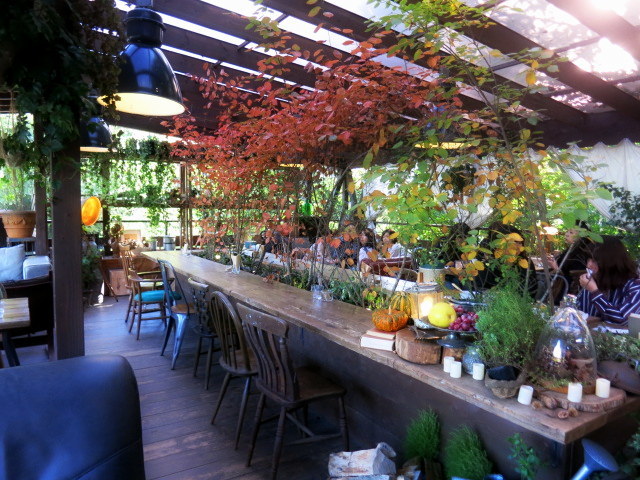 Organic cafe＆restaurant・RK GARDEN ＊ 本年の営業は10月30日まで！_f0236260_02164600.jpg