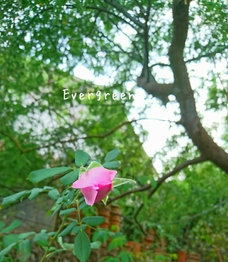 秋*深まる。_d0362666_19014961.jpg