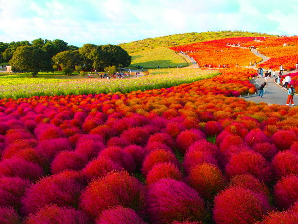 北茨城ひよっこ家族旅行 ⑦_c0122670_21364906.jpg