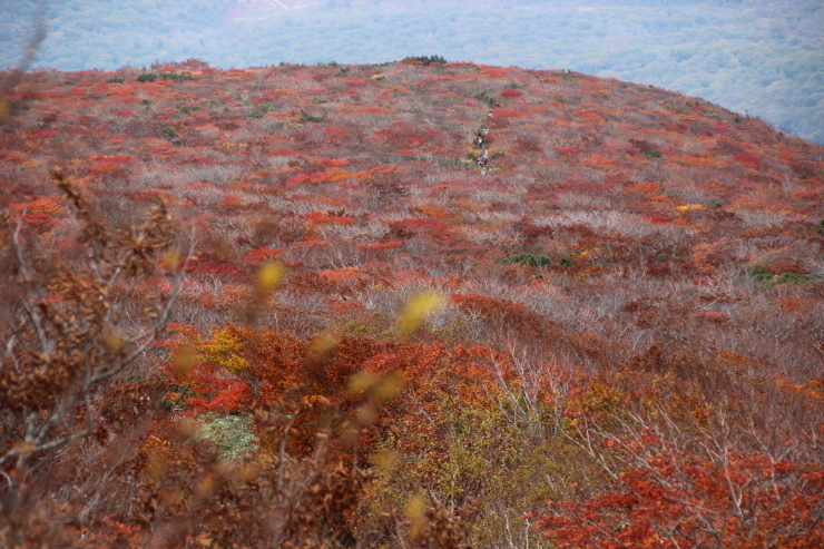 2017秋旅(1) 栗駒山① (撮影日:2017/10/9)_b0369971_17273289.jpg