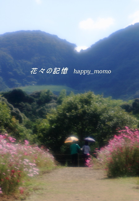 c0357781_11442572.jpg