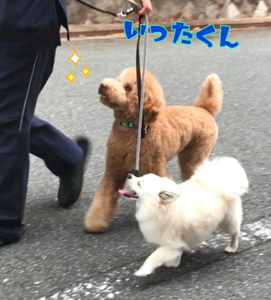 トレーニングブログ_f0357682_20331865.jpg