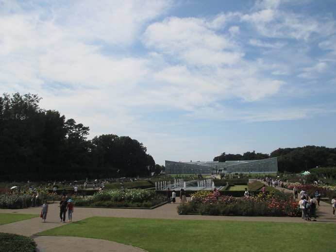 d0129083_19572306.jpg