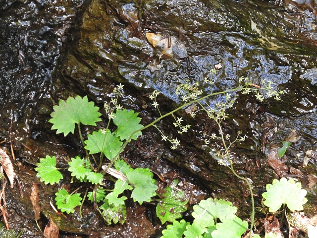 f0357487_23342621.jpg