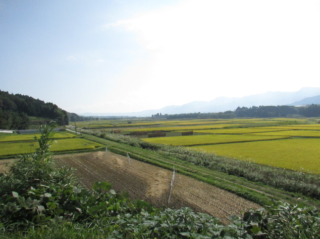c0335990_12213226.jpg