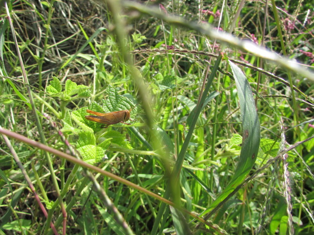 c0335990_12235938.jpg