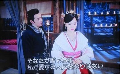 日本でも人気中国歴史ドラマ 王女未央 Biou 27 29話 あらすじ 激安dvd通販
