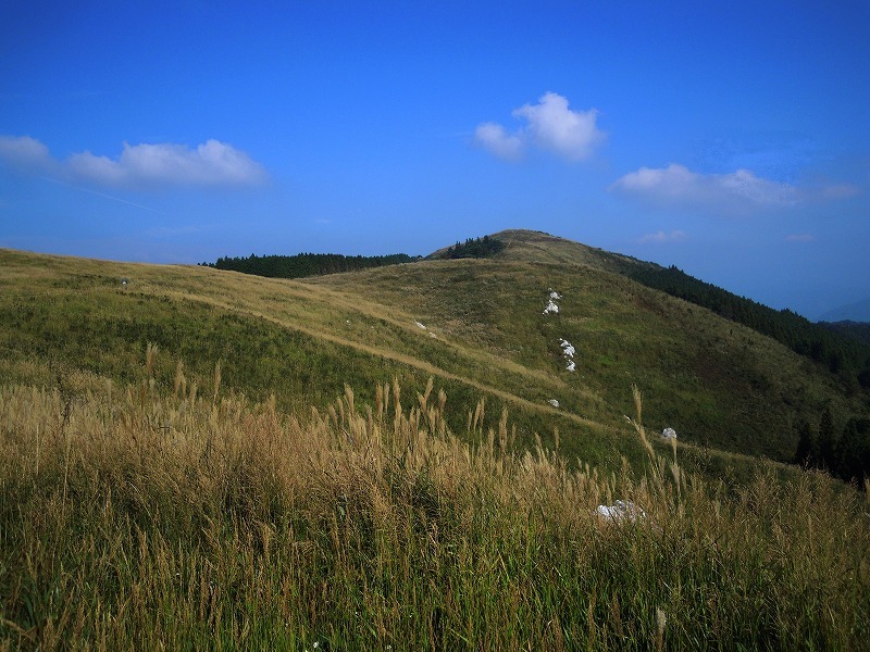b0163792_22524698.jpg