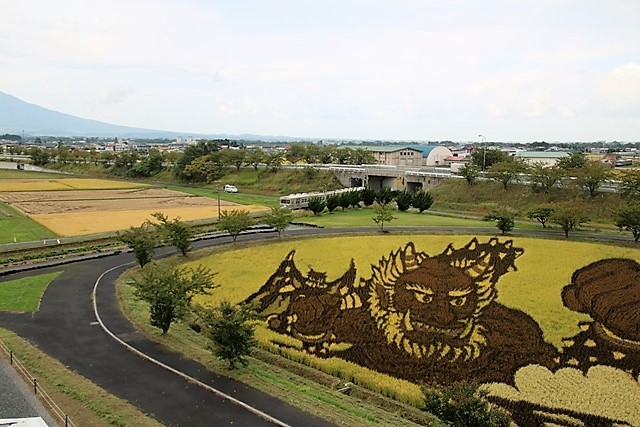 藤田八束の鉄道写真＠田舎館村の田んぼアート・・・ダイアナ王妃のアートに驚嘆・・・弘南鉄道と田んぼアート_d0181492_23515565.jpg