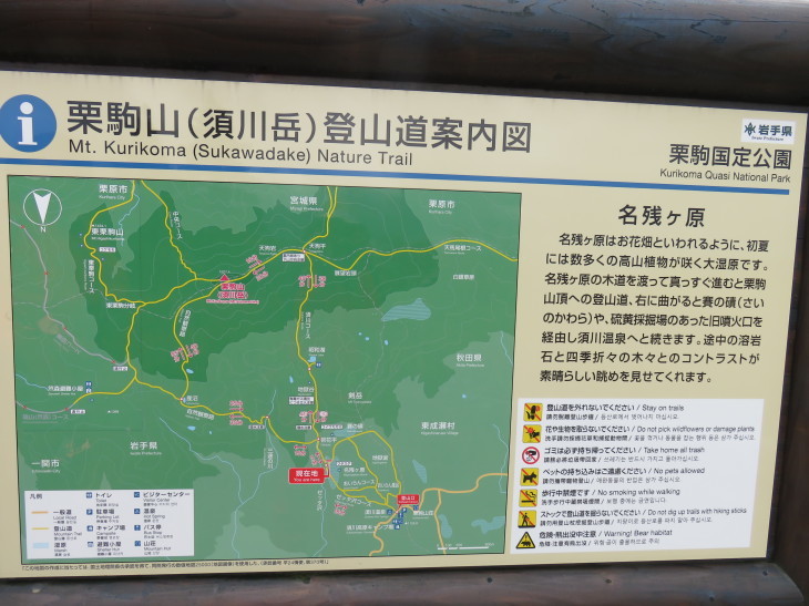 d0198793_17503463.jpg