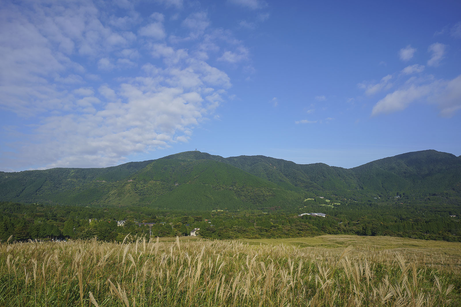 b0145398_21531321.jpg